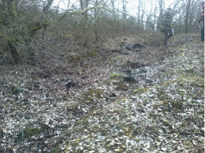 Ceneri e pneumatici